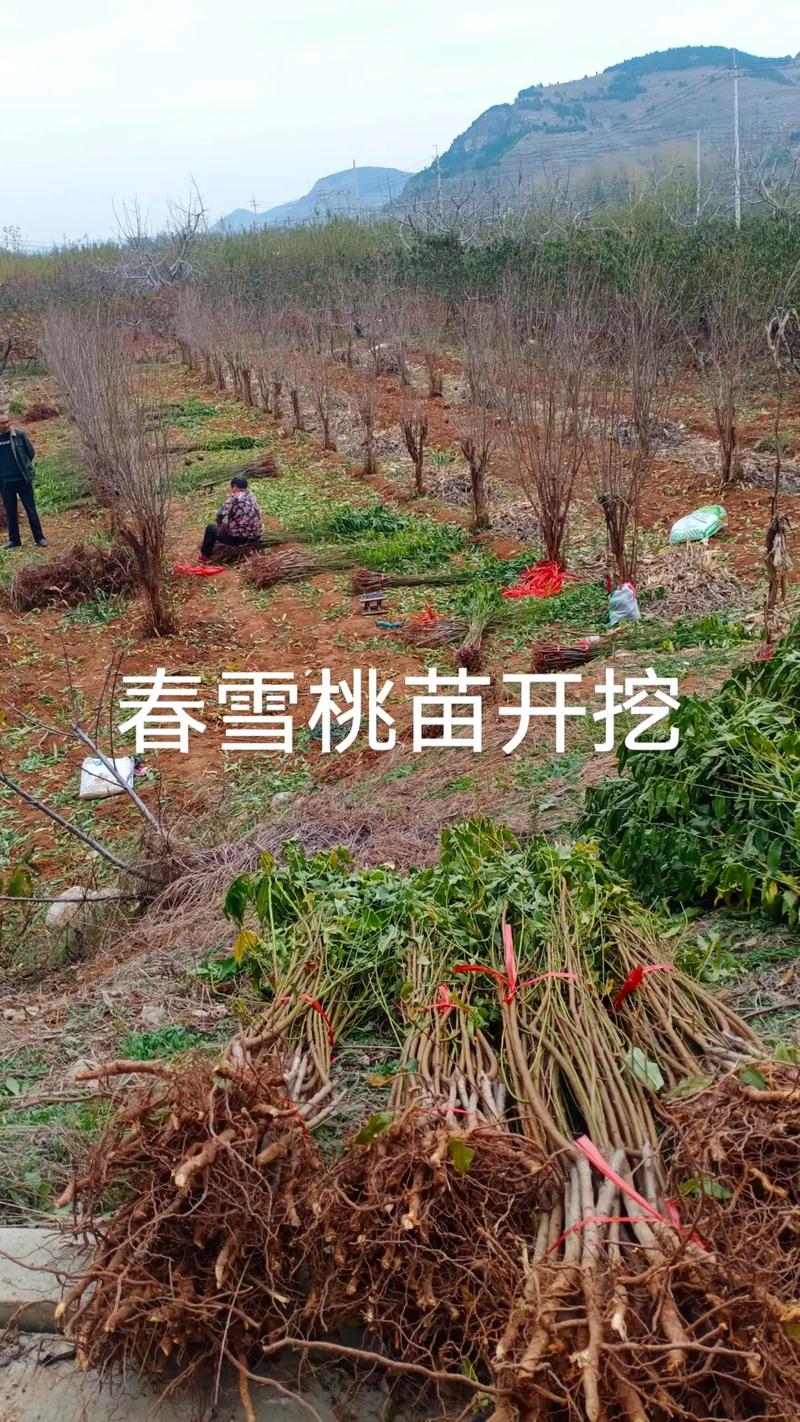 三、规格要量化，不能只看“大小差不多”
