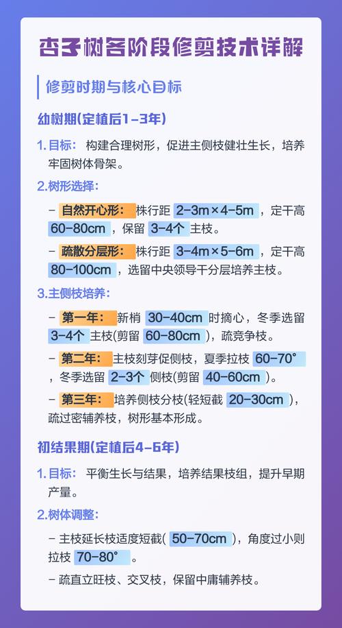 杏树什么季节剪枝好?杏树修剪时间、方法和四季养护要点 光照:杏树修剪的目标之一是让枝叶见光均匀