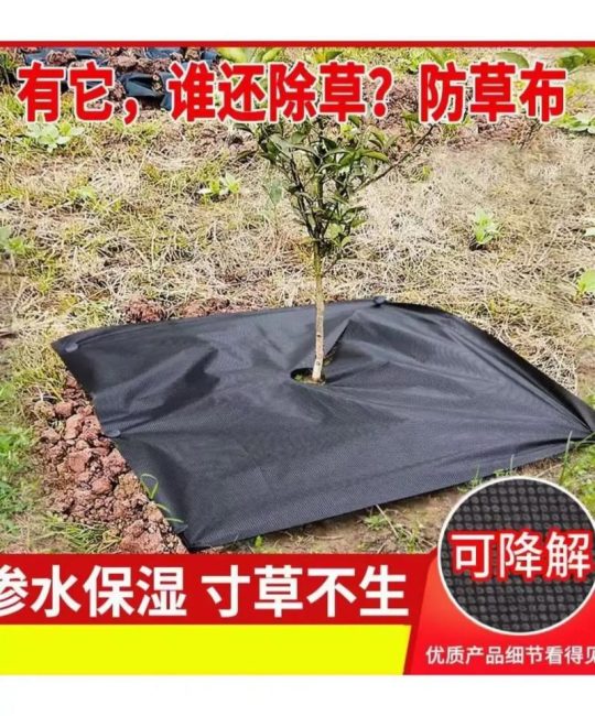 防草布多少一米多少钱？2025年最新价格全解析