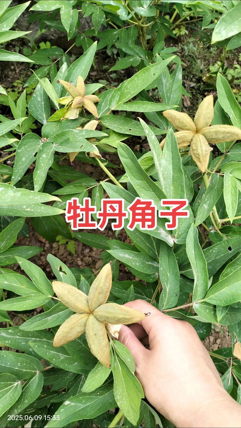 规格对价格的影响