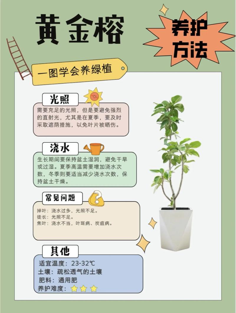 榕树盆景的魅力与科学养护