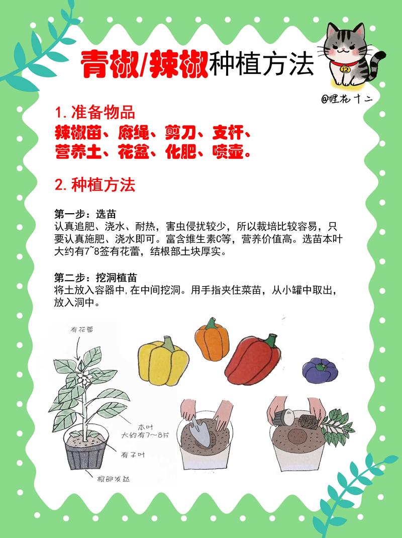 二、土壤环境：沙壤土最理想