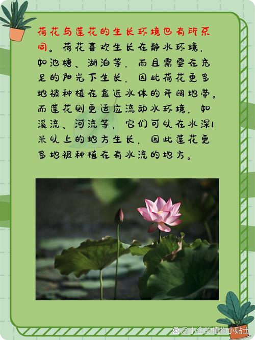 常见错误与规避