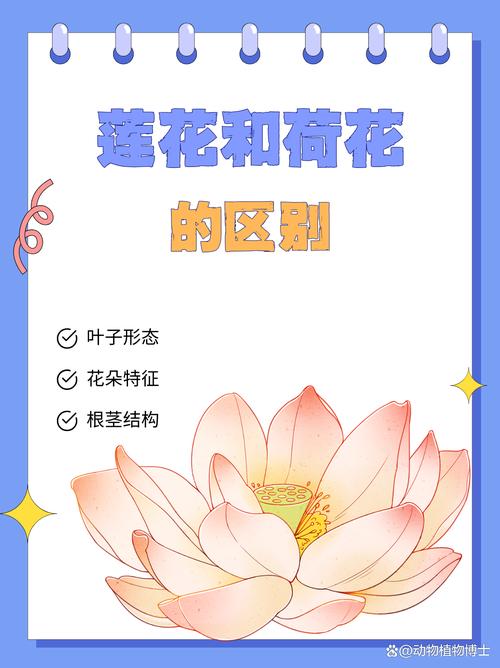总结