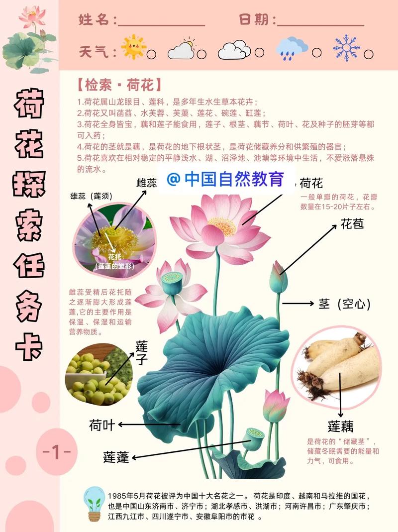 常见问题