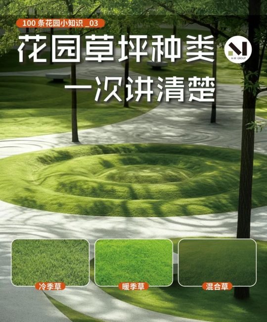 草坪有多少种类：暖季型与冷季型品种全解析及建植养护指南