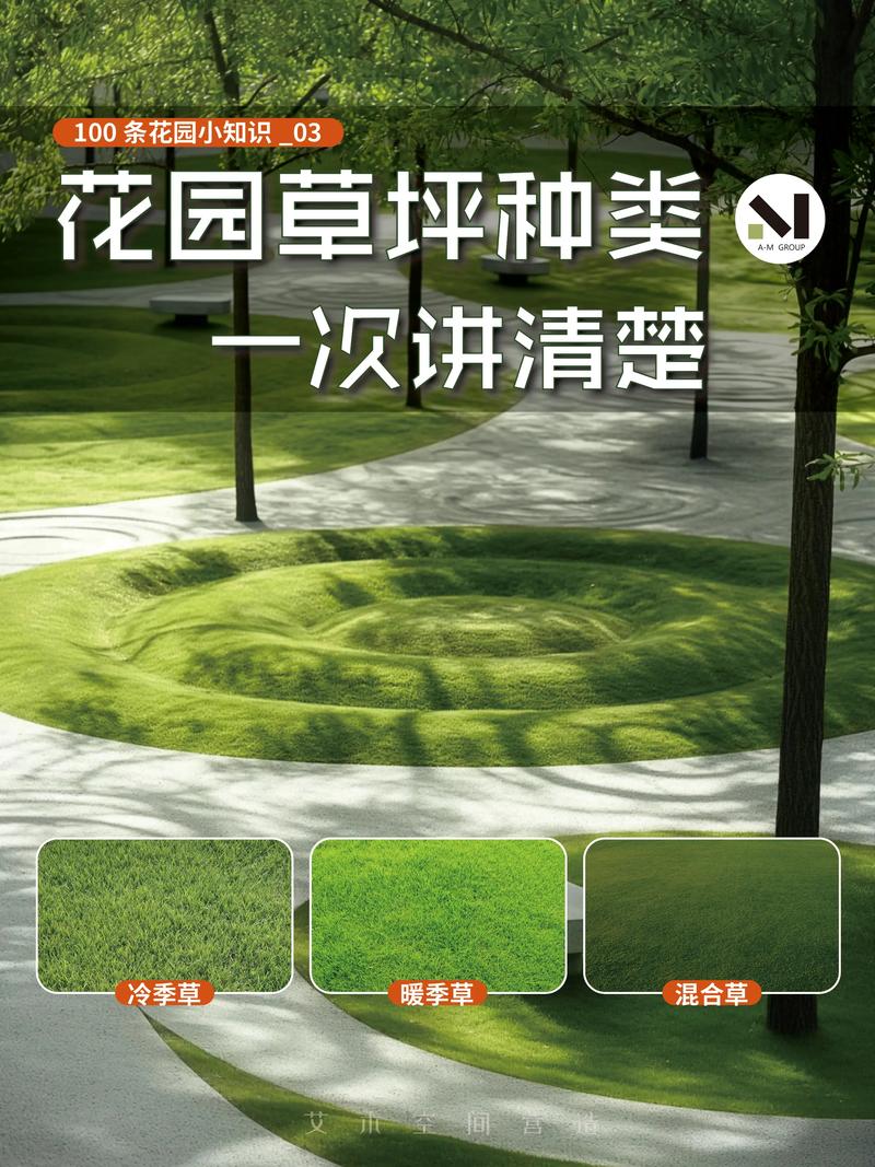 主流草坪品种对比表