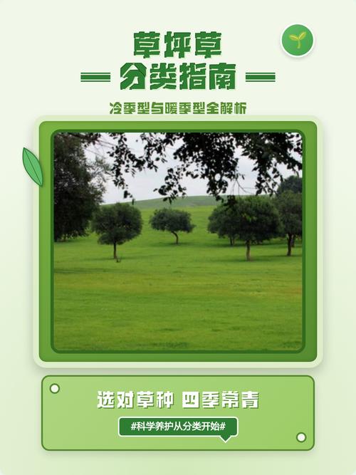 常见错误