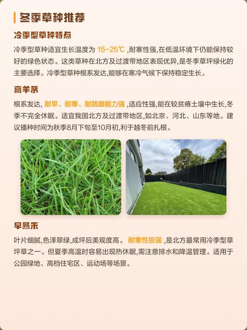常见问题