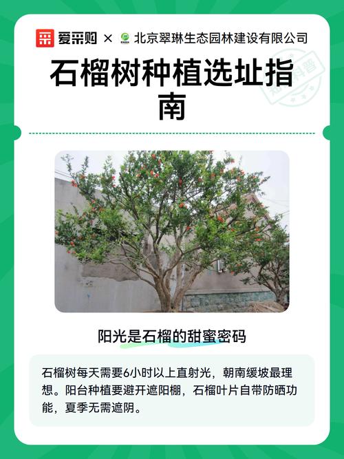养护要点与常见问题预防