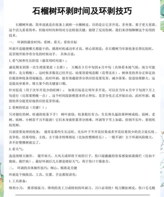 石榴树环剥的最佳时间与操作技术指南