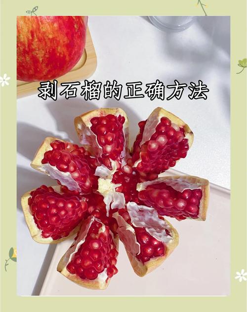总结验证：高产环剥的基础是优质苗木
