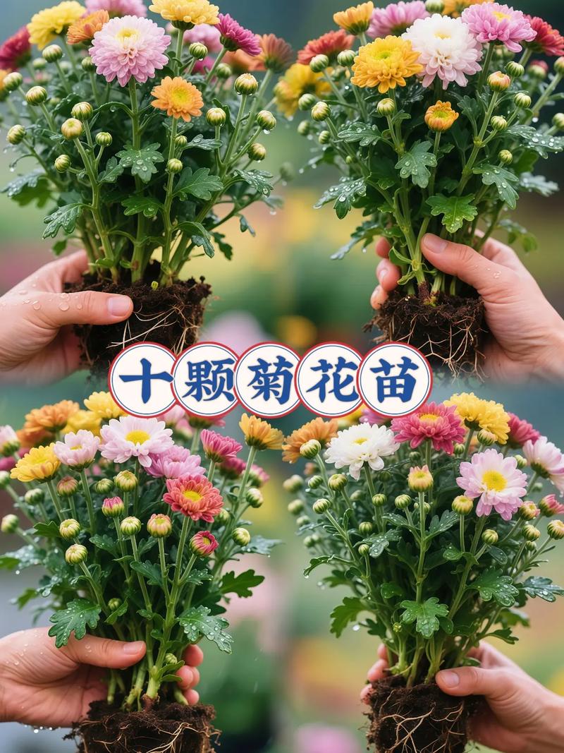 运输：物流成本占比10%~30%