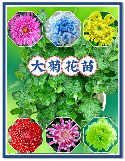 数量：散买与批发的价格分水岭