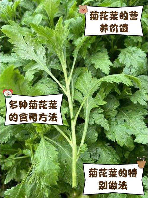 咨询指南：如何获取精准报价？