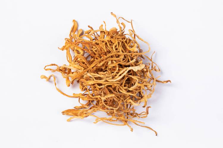 虫草价钱多少?2025年鲜虫草花价格参考与影响因素分析 价格快速参考