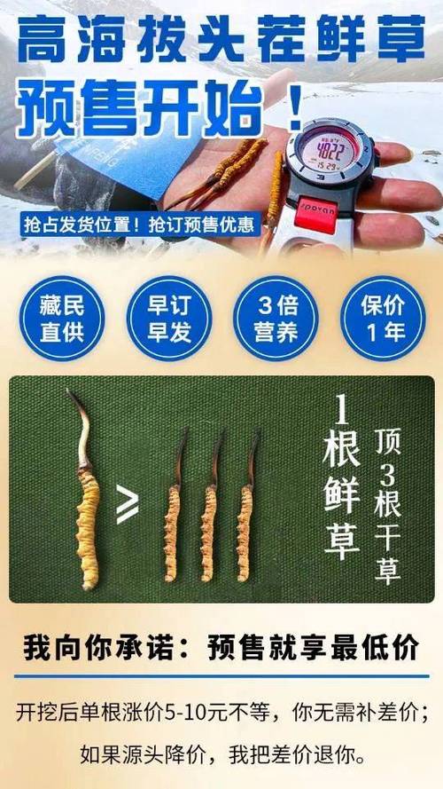 虫草价钱多少?2025年鲜虫草花价格参考与影响因素分析 咨询指南:如何获取精准报价?