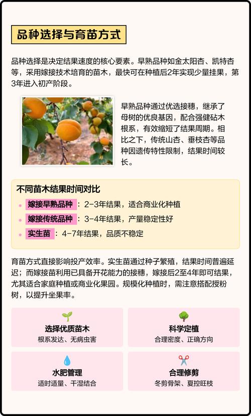 杏树多少年结果?嫁接苗3年、实生苗5-7年,超详细结果年限与促果指南 常见问题解答(FAQ)