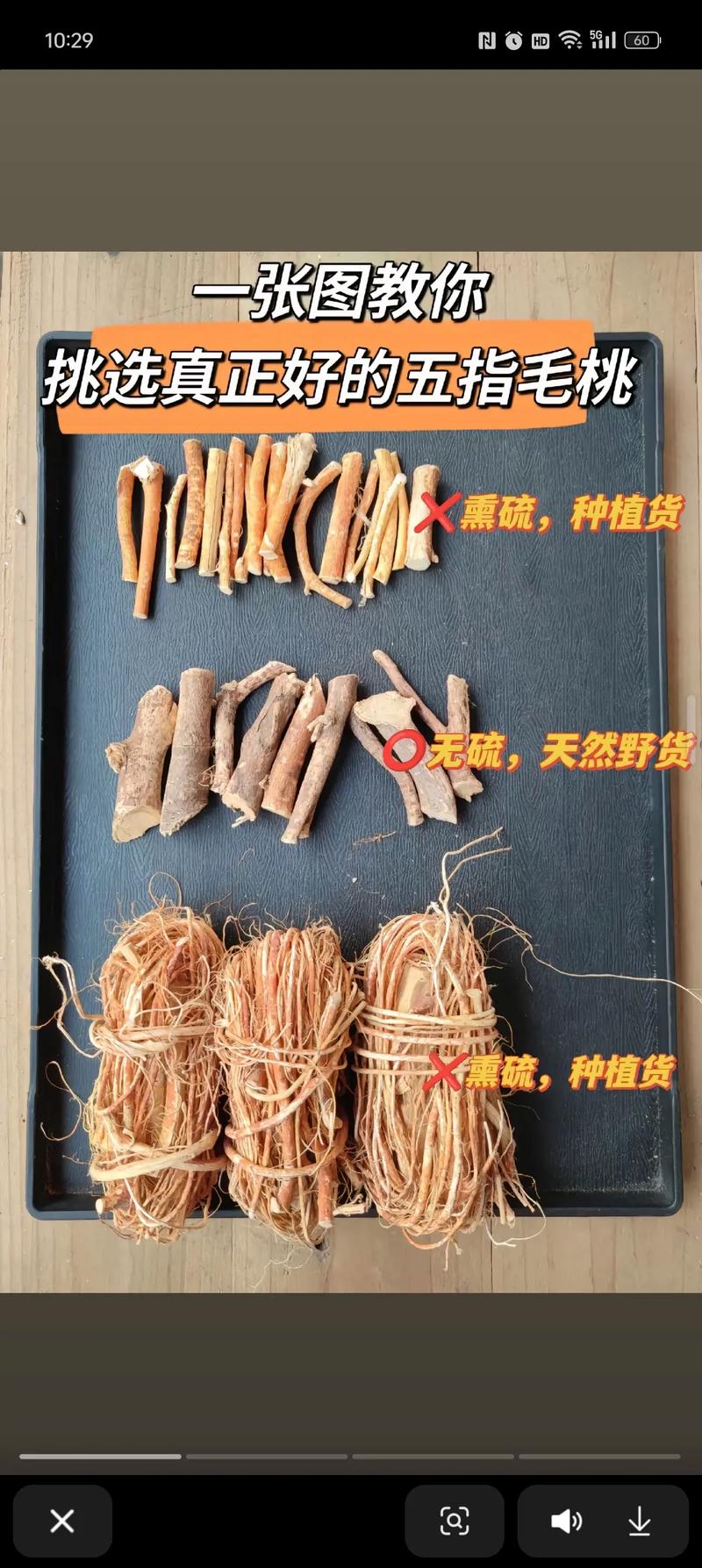 五指毛桃在江西可以种吗?从选时到成活的全流程技术指南 五、浇定根水