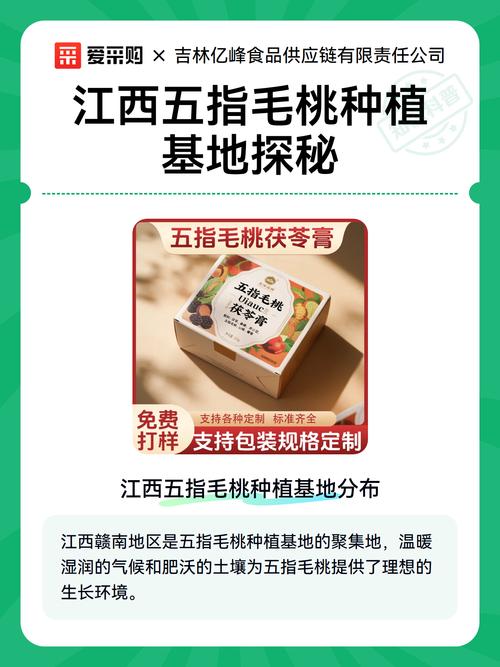 五指毛桃在江西可以种吗?从选时到成活的全流程技术指南 七、成活注意事项