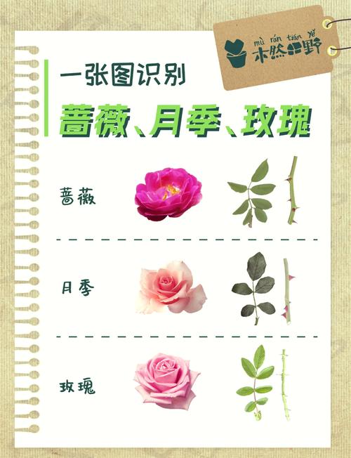 越冬与越夏：不同气候区的操作清单