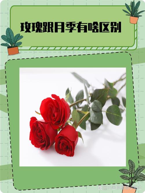 常见误区与纠正
