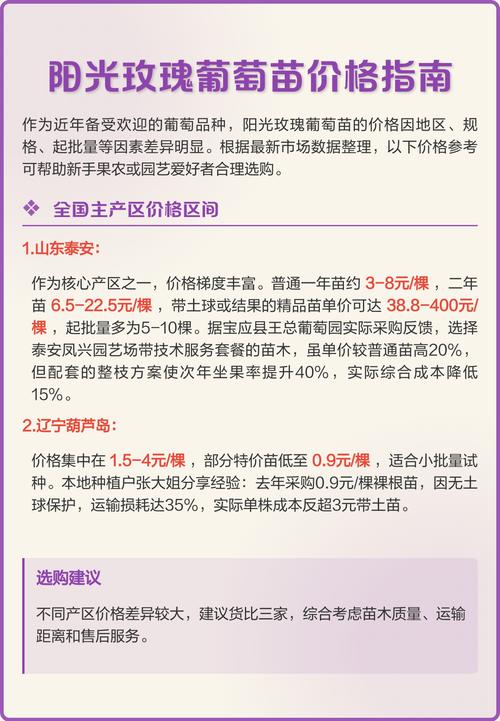 阳光玫瑰葡萄苗多少钱一棵?2026年最新价格参考与选购指南 采购质量判断:一看嫁接口、二看根系、三看苗龄