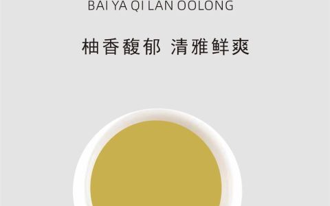 白芽奇兰属于什么茶？详解其品种特征与种植养护
