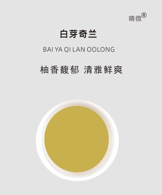 白芽奇兰属于什么茶？详解其品种特征与种植养护