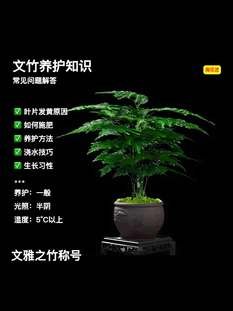 屋前种竹子好不好?园艺专家分析利弊与建议 引言