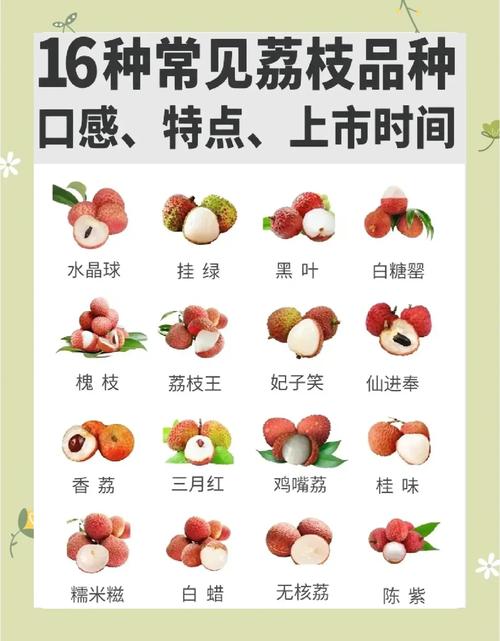 广西农科所三大王牌果树品种对比:桂柚1号、桂蕉1号、桂葡1号种植指南 六维度对比表格