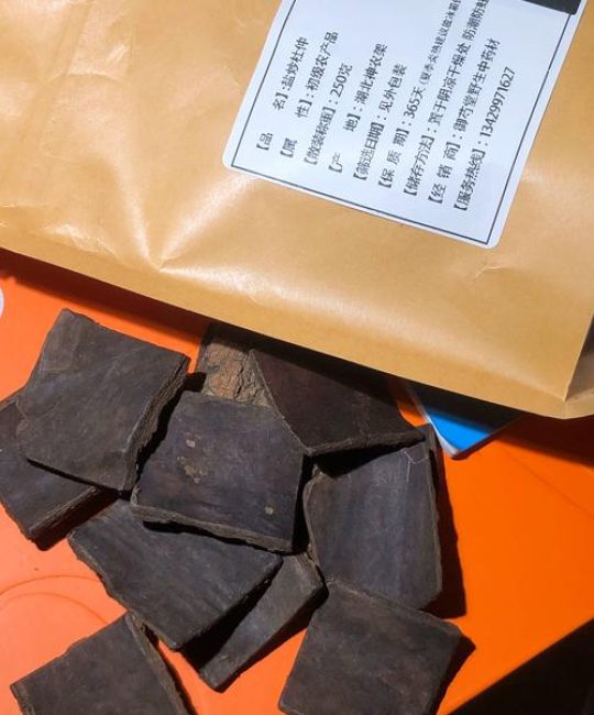 炒杜仲和盐杜仲是一样的吗？一文读懂两者的区别与功效