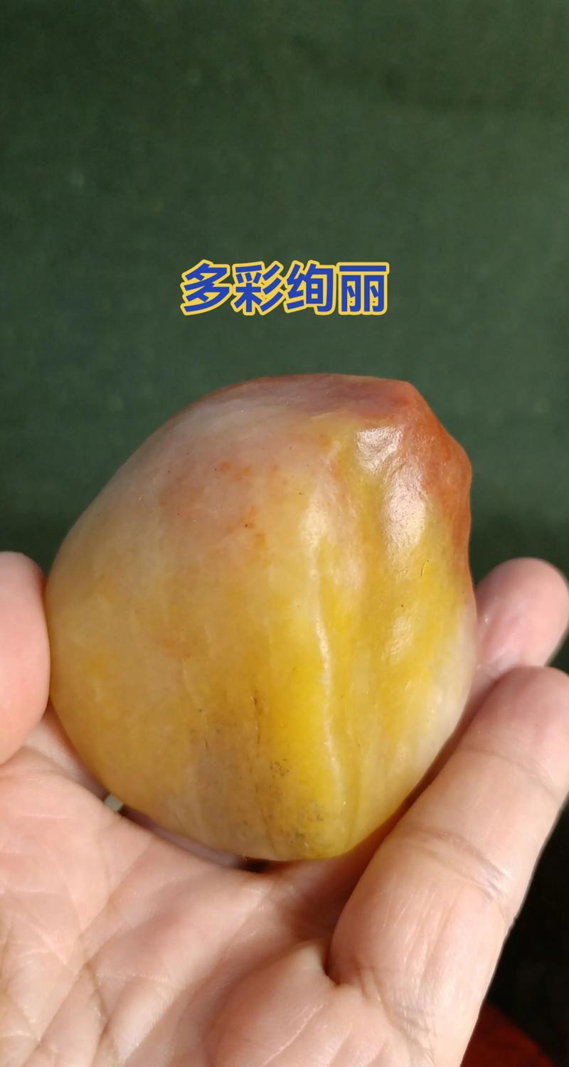 金丝楠木树苗价格是多少?规格、品相、产地影响报价 金丝楠木树苗价格是多少?规格、品相、产地影响报价