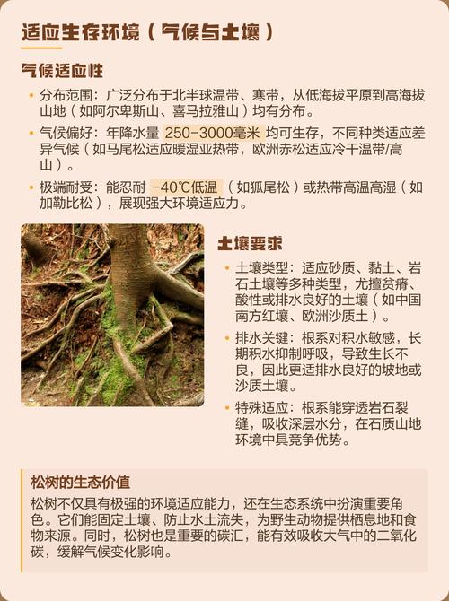 松树为什么能四季常青?解码常绿针叶树的生理机制与种植全攻略 土壤适应性与改良方案