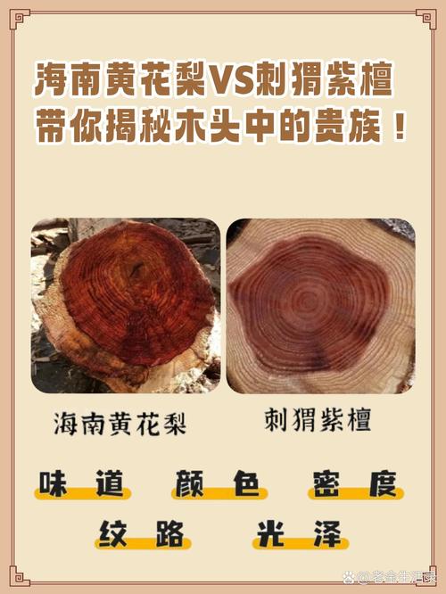 小叶紫檀、海南黄花梨、金丝楠木谁更贵?从园艺角度解析木中贵族 四、“哪个贵”的真相:稀缺决定天花板