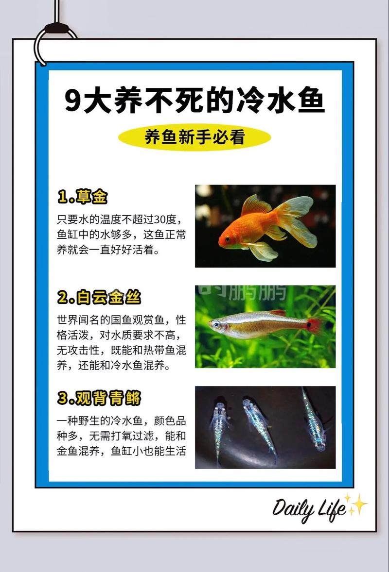 草金鱼和鼢鱼能一起养吗?混养前必须了解的三个关键点 四、结论