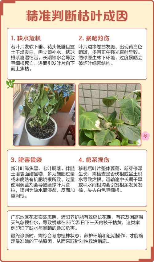 三、处理办法（按原因对应操作）