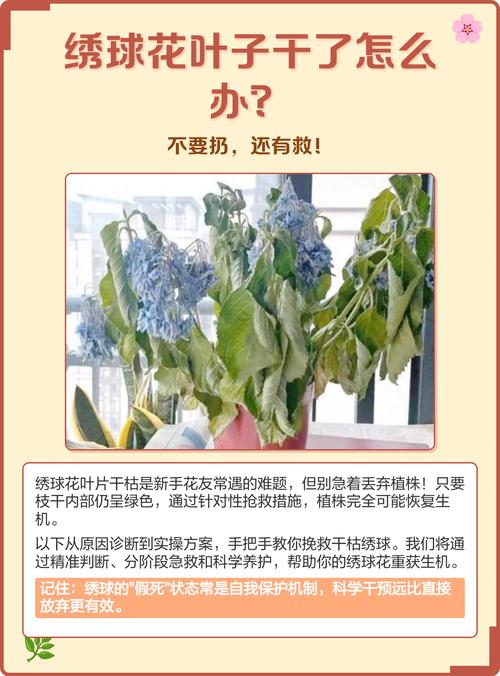 四、日常预防要点