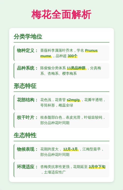 红梅与梅花品种对比:6维度解析帮你快速选对苗 场景化选择建议