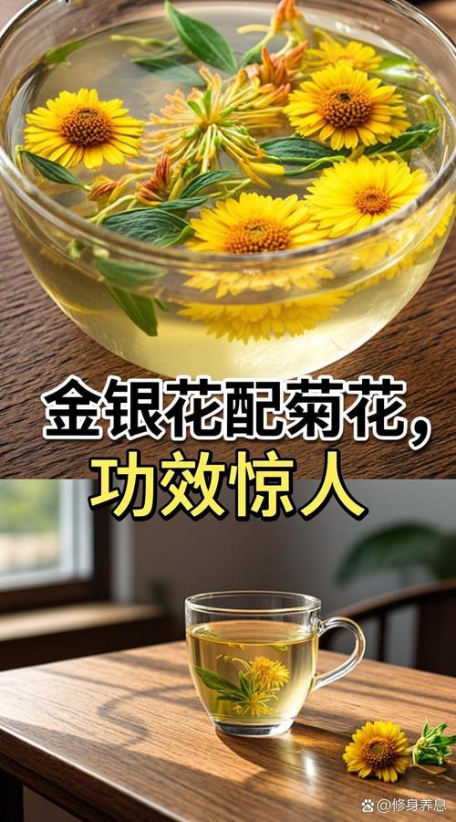 H1: 金银花与菊花:家庭园艺种植与去湿热功效全解析 修剪促花系统指导