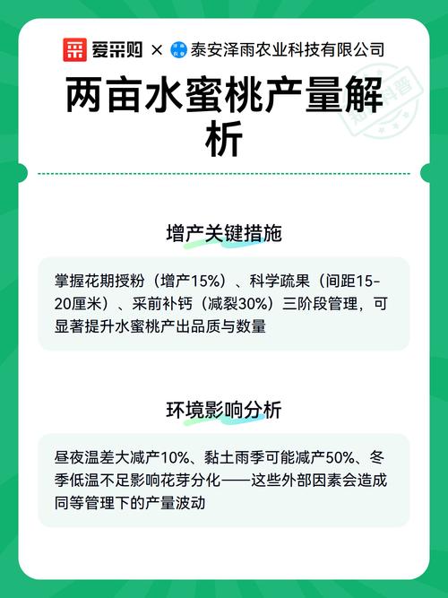 总结：选择最佳密度的三步法