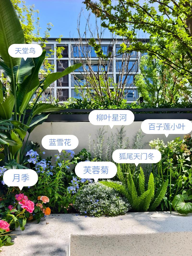 公园都种什么花?从工程绿化视角看花卉选配与种植方案 三、栽植密度与施工参数