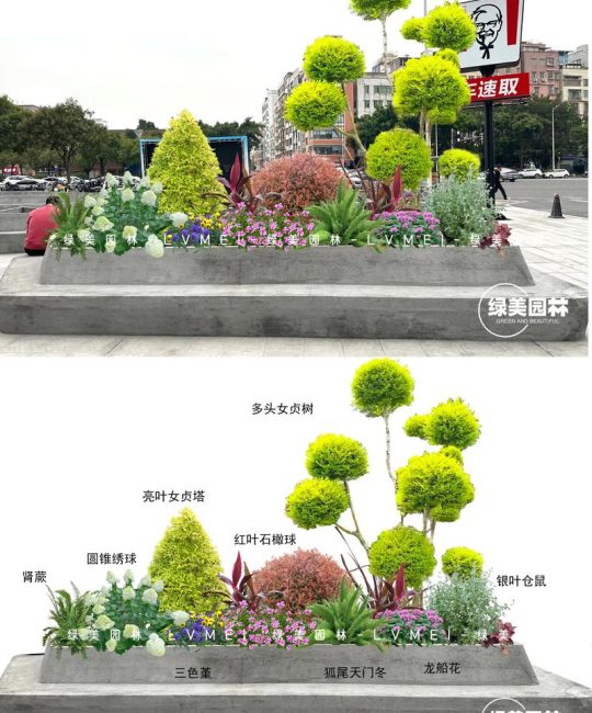 公园都种什么花？从工程绿化视角看花卉选配与种植方案
