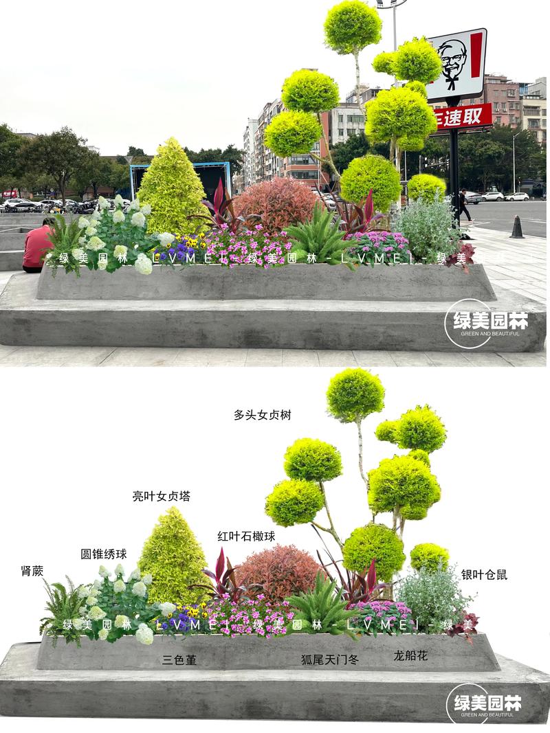 公园都种什么花?从工程绿化视角看花卉选配与种植方案 一、先定调:公园类型决定花卉品种