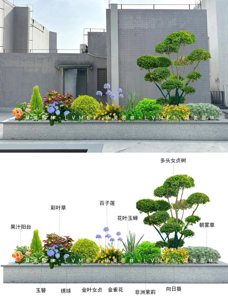 公园都种什么花?从工程绿化视角看花卉选配与种植方案 二、三层搭配:乔木、灌木、地被的品种与规格