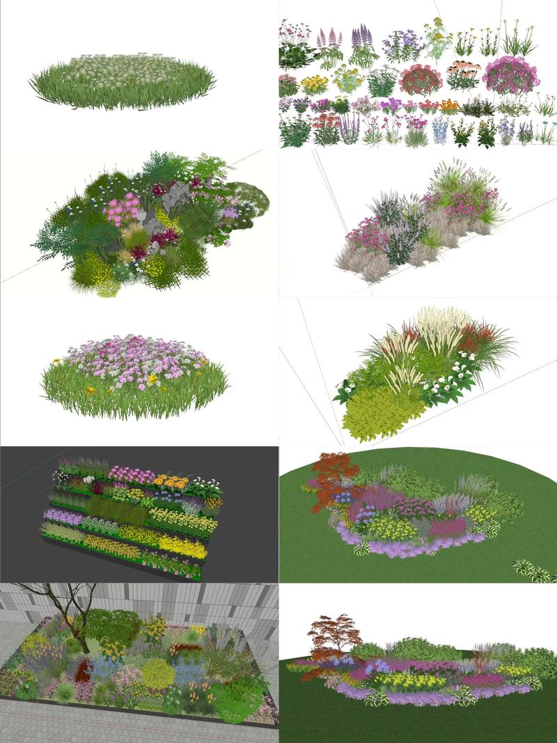 公园都种什么花?从工程绿化视角看花卉选配与种植方案 四、养护节点与关键期管理