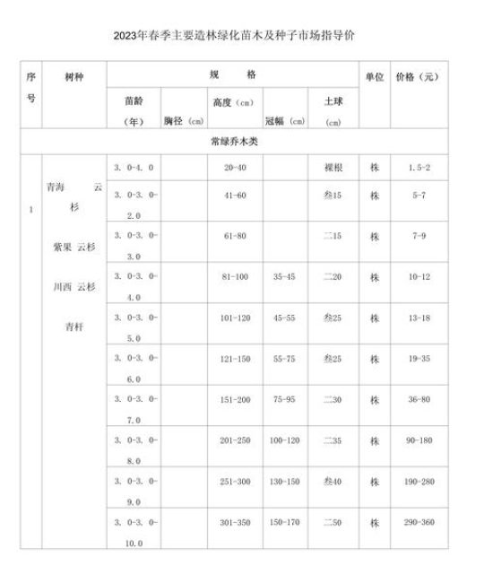 176元预算能买多少棵规格苗？苗木规格与价格采购指南