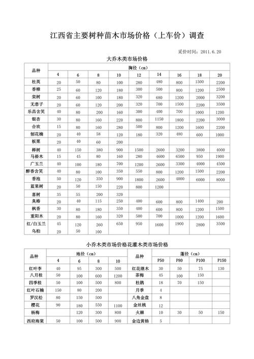176元预算能买多少棵规格苗?苗木规格与价格采购指南 176元预算,不同规格能买多少棵?(案例速算)