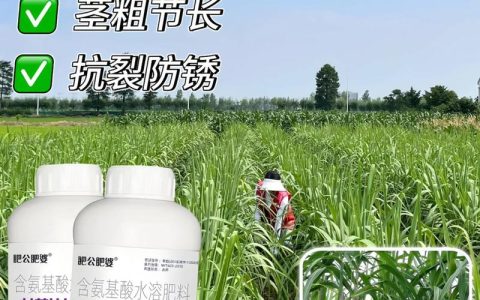 甘蔗叶面肥用什么最好？分阶段科学施肥方案与浓度指南