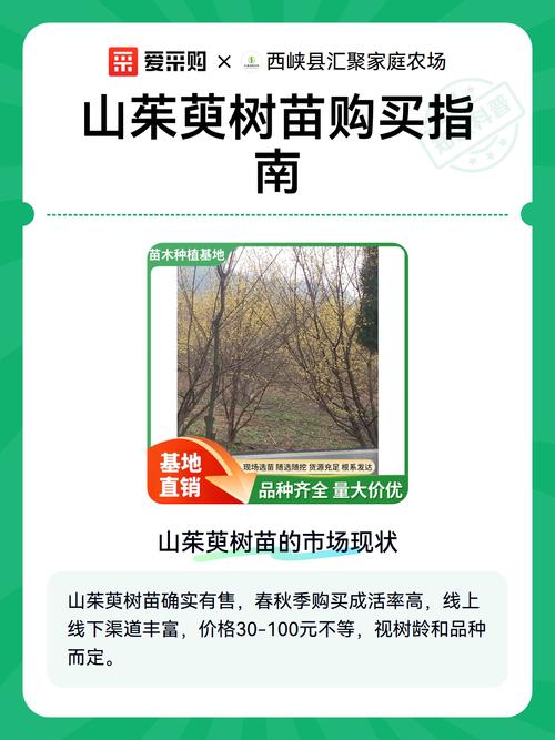 季节因素对价格的影响